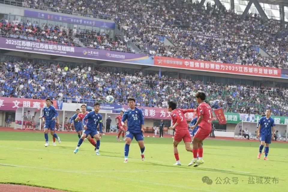 南特队客场小胜,积分继续攀升(南特球衣) 南特队客场小胜,积分继续攀升(南特球衣)