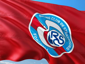 aoa体育娱乐-帕尔梅拉斯连续不败，争冠形势一片大好