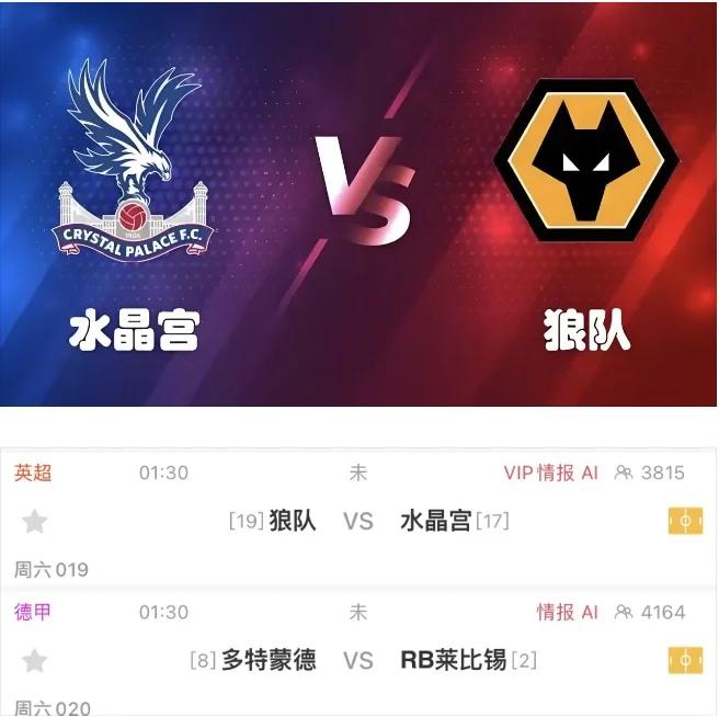 狼队主帅调整阵容，期待取得胜利