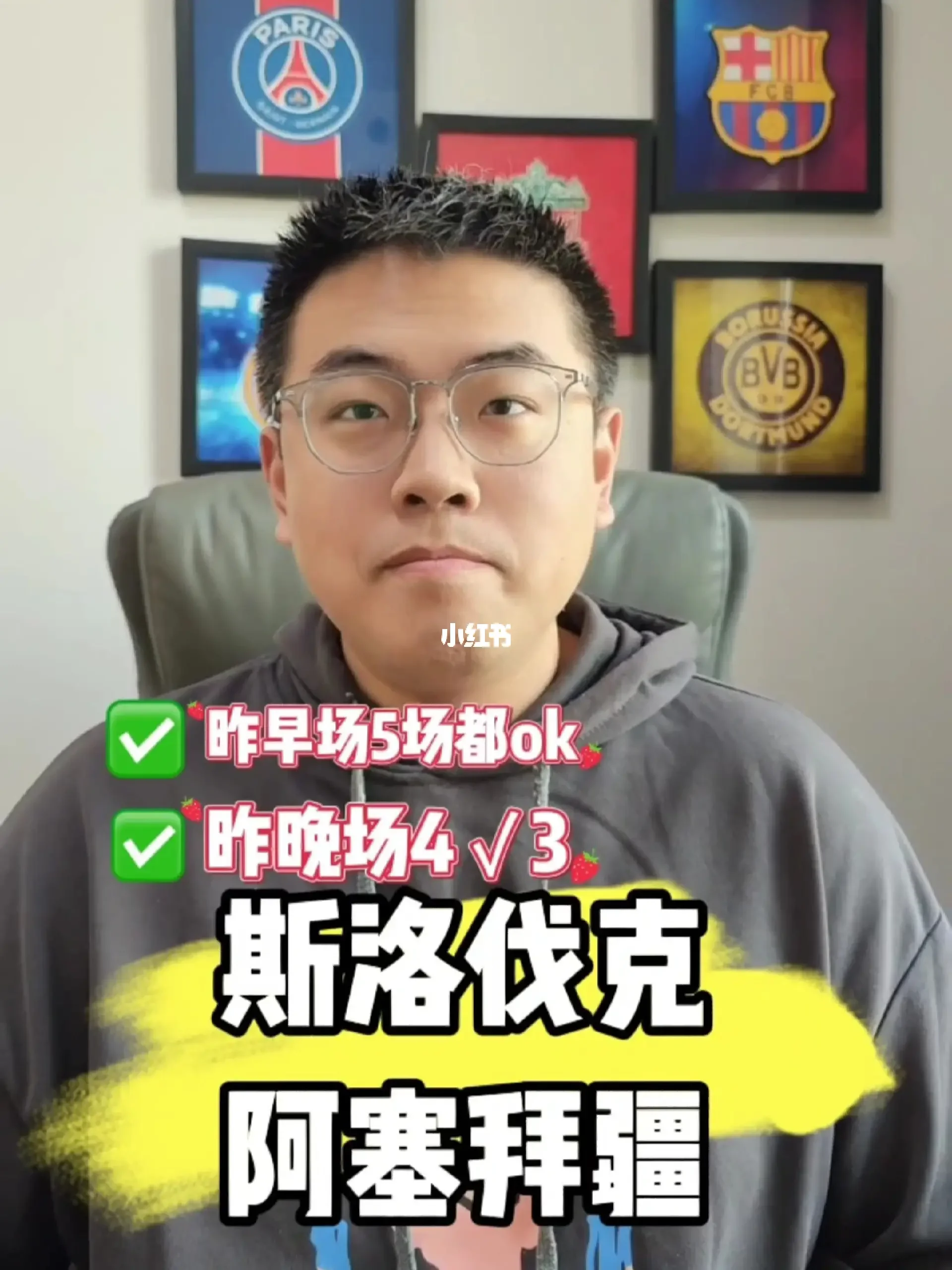 aoa体育培训-波黑猛将，欧预赛勇夺晋级资格的简单介绍